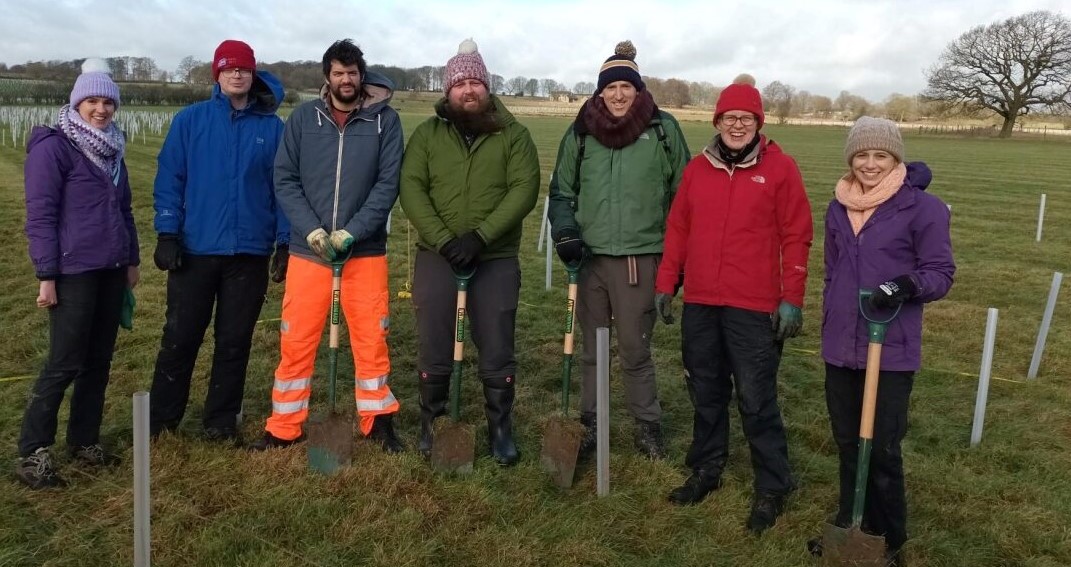 A group of 7 staff members from Mott MacDonald planting trees in winter