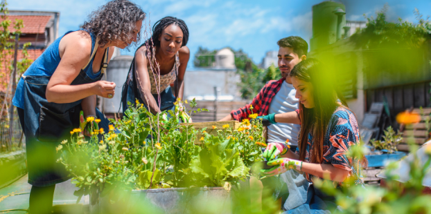 Women planting